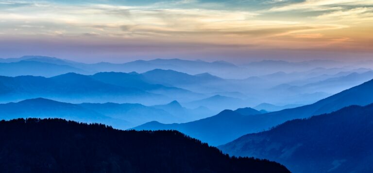 Grüne Blätter im Frühjahrslicht — Foto: Unsplash